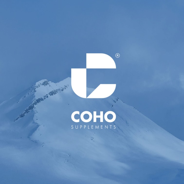 Aimstyle portfolio | Revitalizing Coho’s Brand Identity